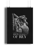 Fifty Shades of Rey Poster